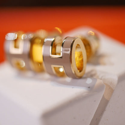 [⭐Luxery]MINI POP H GOLD EARRINGS GREY