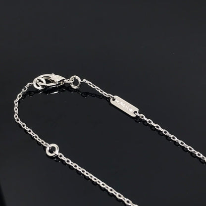 [⭐Luxery]CLOVER PIETERSITE SILVER LONG NECKLACE