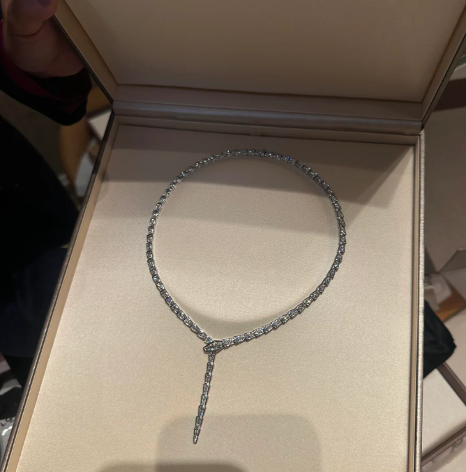 [⭐Luxery]NEW！SERPENT DIAMOND NECKLACE