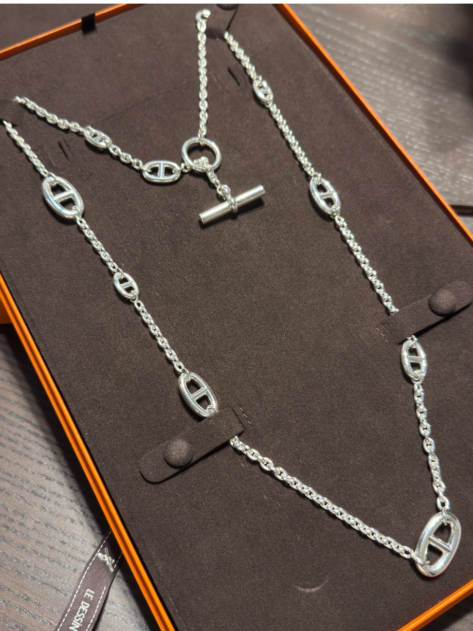 [⭐Luxery]Classic Silver Sweater Chain